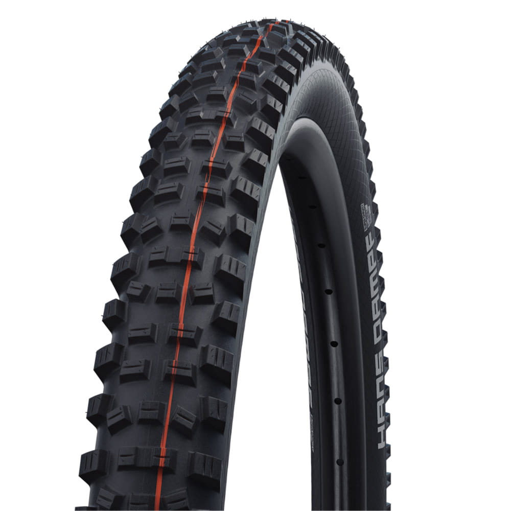 Schwalbe Hans Dampf Evo Folding Tire