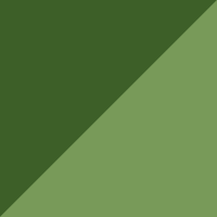 F6204