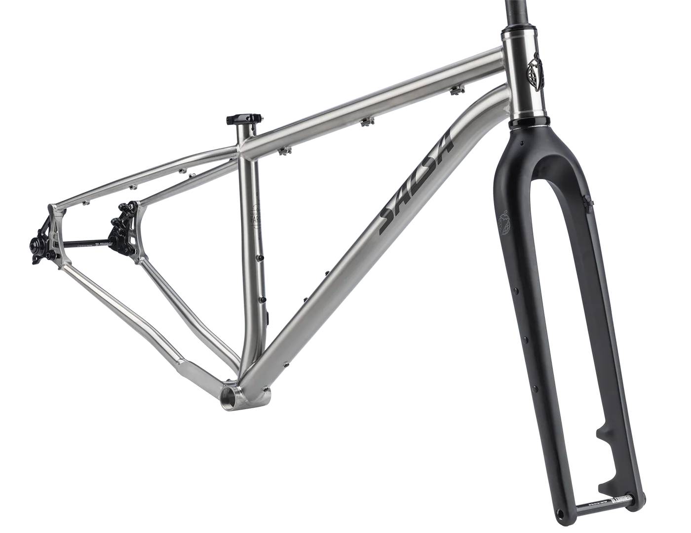 Salsa Fargo 32 Ti Frameset Brushed Titanium