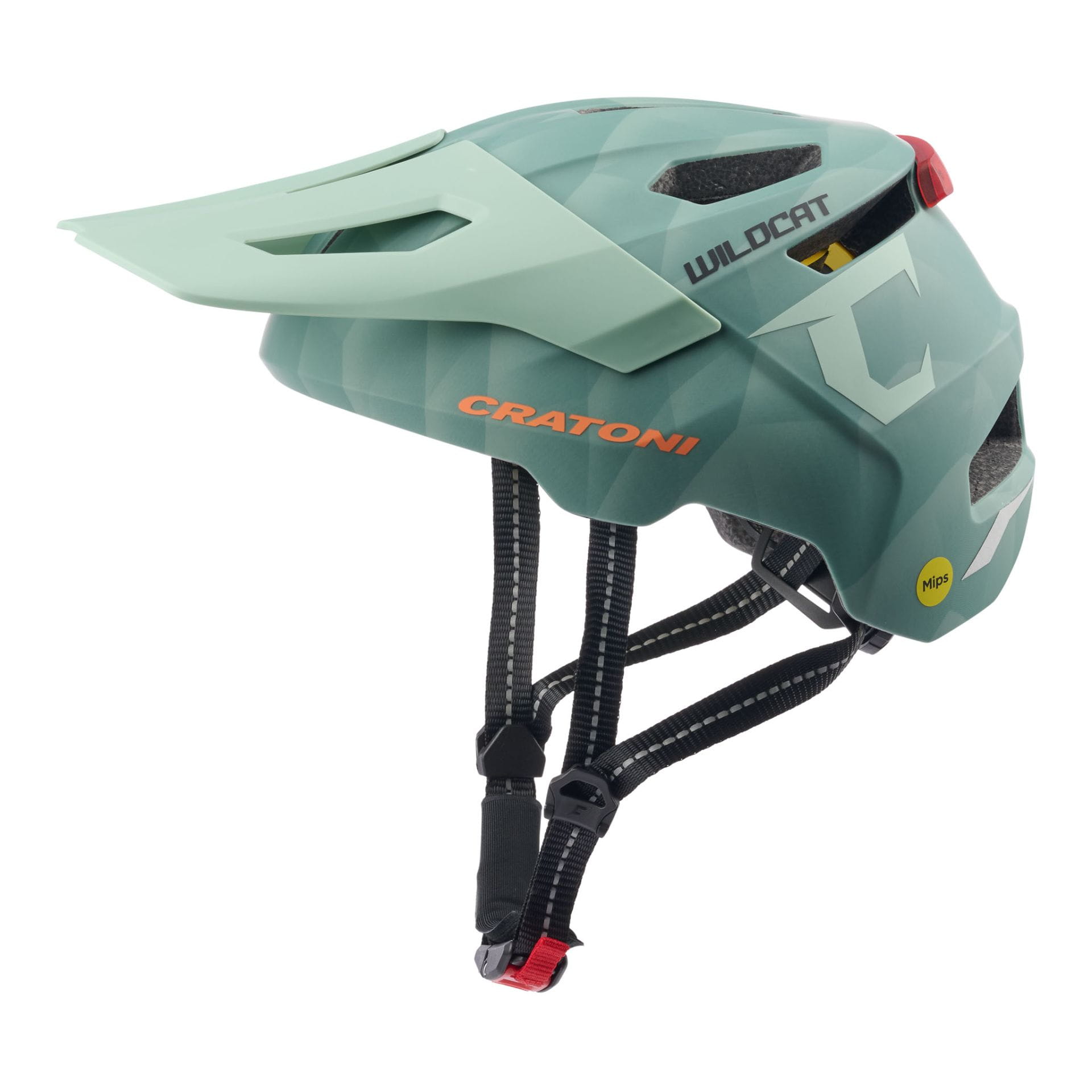 113101K1 - Sage matt