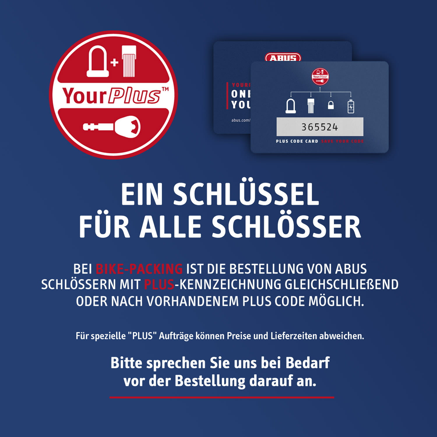 abus-your-plus-service
