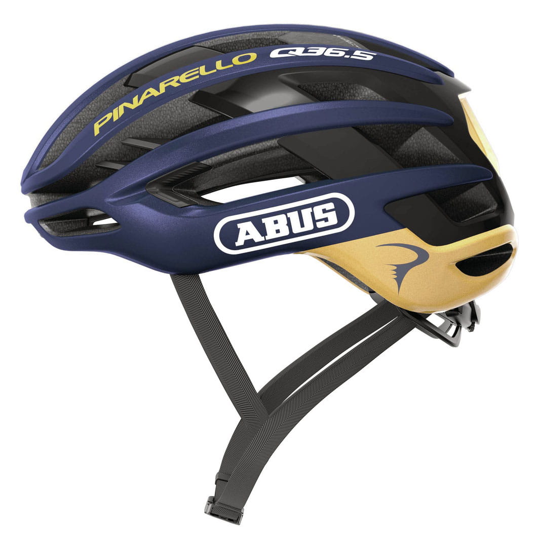 A44517M - Pinarello Q36.5