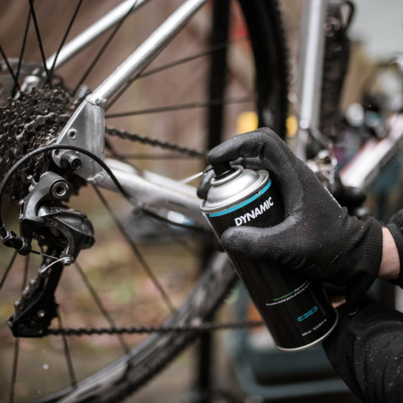 IMG_2264-scaled-e1610630248265