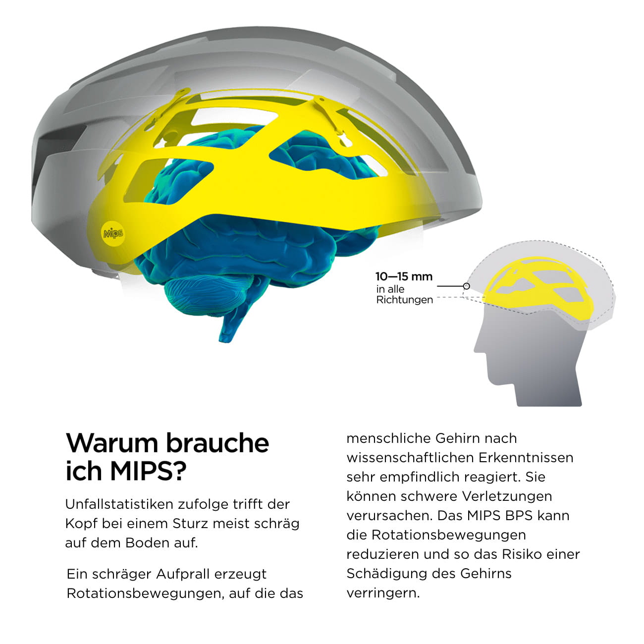 whats-mips
