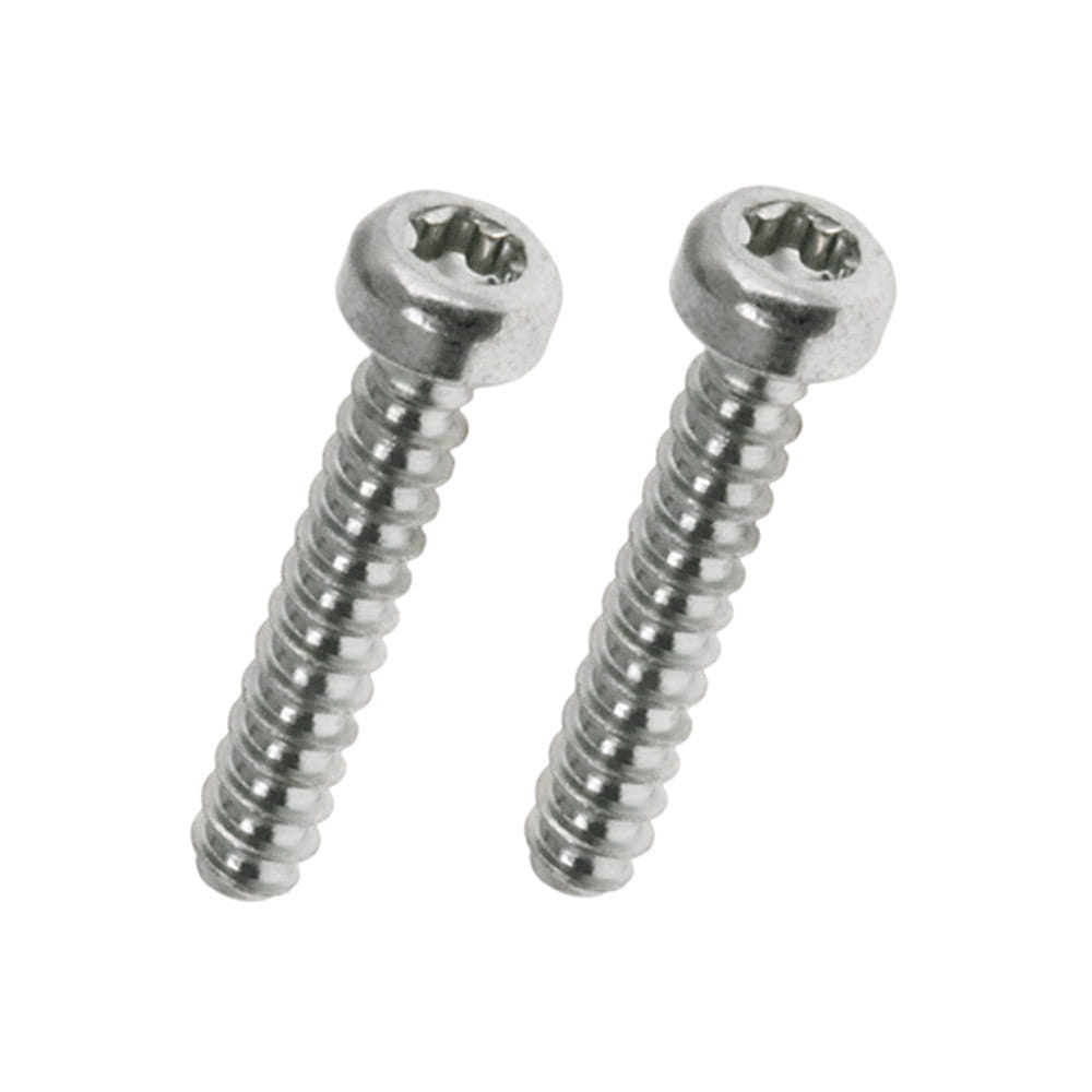 Schrauben für Kunststoffe 3x16 mm - T10 (2 Stück) Schrauben für Kunststoffe 3x16 mm - T10 (2 Stück)